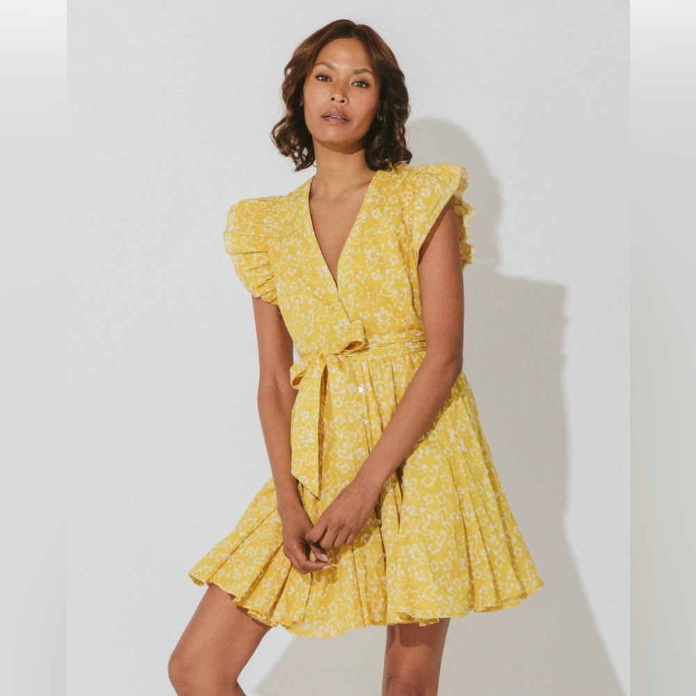 Cleobella Zia Mini-Dress from Evereve